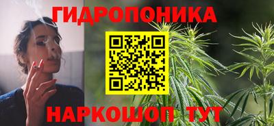apvp Шелехов