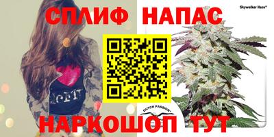 каннабис Шебекино