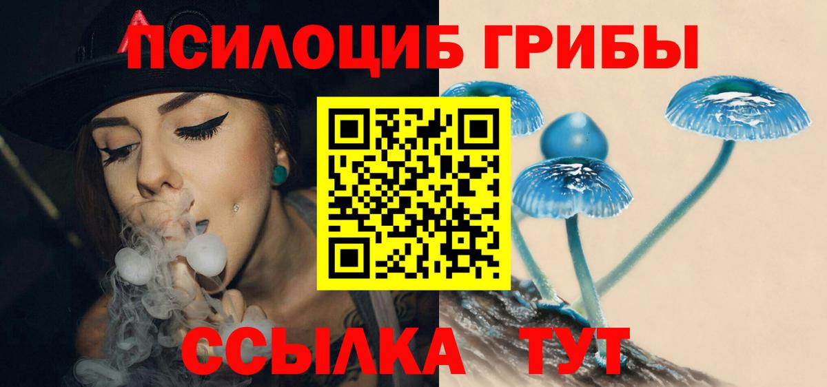 Самара  Псилоцибиновые грибы MAGIC MUSHROOMS  Вход с VPN 