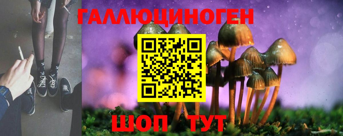 Галлюциногенные грибы прущие грибы Самара